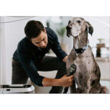 لکه بر فرش و مبل بیسل مدل BISSELL BARK BATH